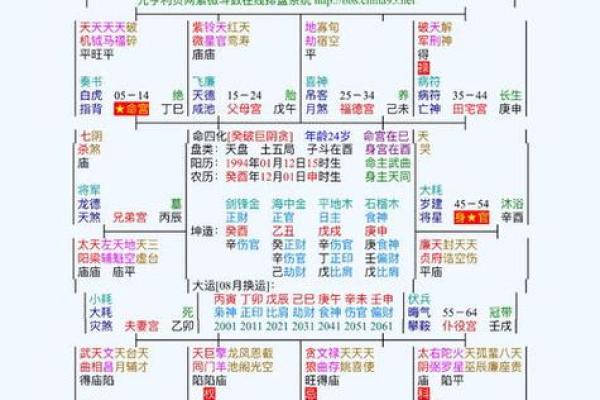 2025年4月6日亥时男命紫微斗数全解盘 2025年4月6日亥时男命紫微斗数全解盘