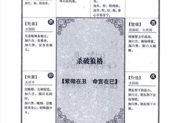 2025年4月5日卯时男命紫微斗数全解盘 2025年4月5日卯时男命紫微斗数全解盘