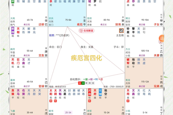 2025年4月9日丑时女命紫微斗数全解盘 2025年4月9日丑时女命紫微斗数全解盘