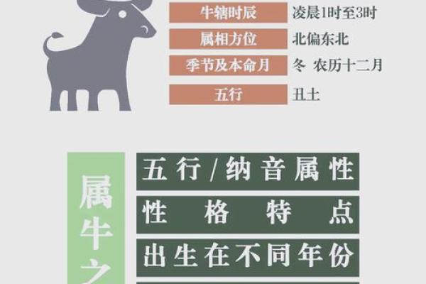下午出生的属牛男孩起什么名字比较合适姓名 下午出生的属牛男孩起什么名字比较合适姓名
