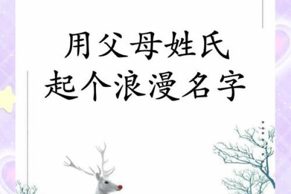 属鼠卯时出生的男孩取名的小诀窍姓名