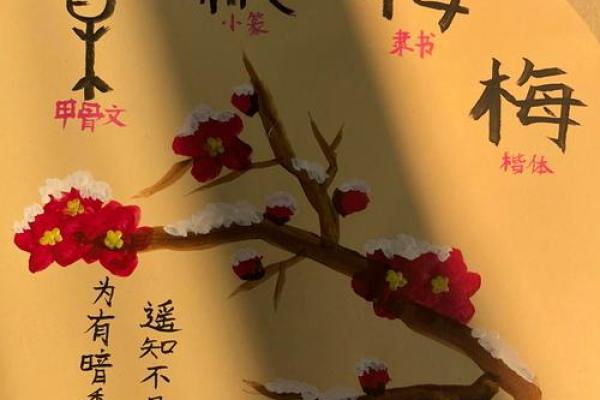 梅姓女孩名字大全-梅姓女孩起名字大全-梅姓名字大全姓名