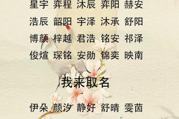 属狗卯时出生的男孩应该如何起名，宜用什么字姓名