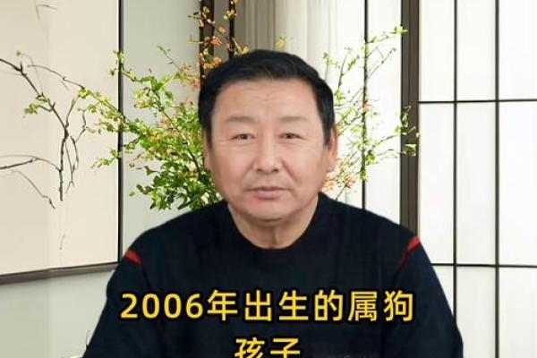 属狗卯时出生的男孩应该如何起名，宜用什么字姓名