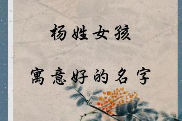 杨姓女孩名字大全-杨姓女孩起名字大全-杨姓名字大全姓名 杨姓女孩名字大全-杨姓女孩起名字大全-杨姓名字大全姓名