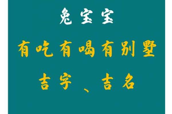 1月份出生的属兔男孩该怎样取名字姓名 1月份出生的属兔男孩该怎样取名字姓名