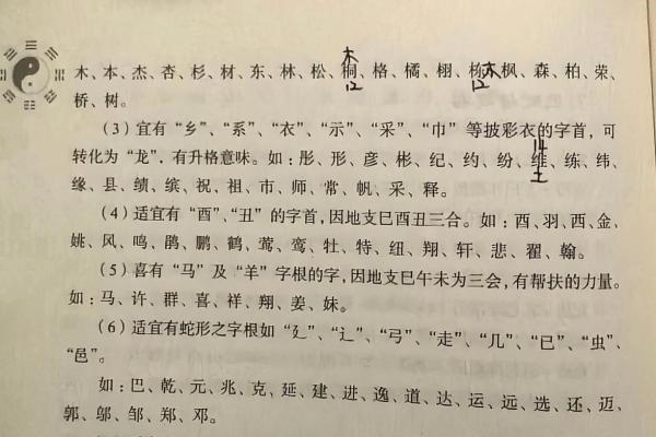 晚上10点出生的属蛇男孩要如何起名，宜用什么字姓名