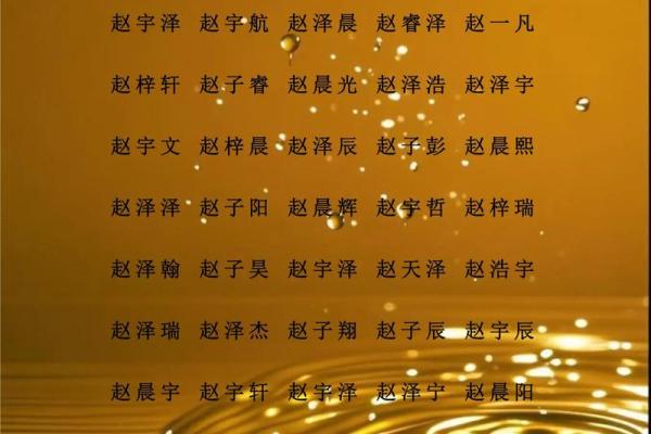 赵姓女孩名字大全-赵姓女孩起名字大全-赵姓名字大全姓名