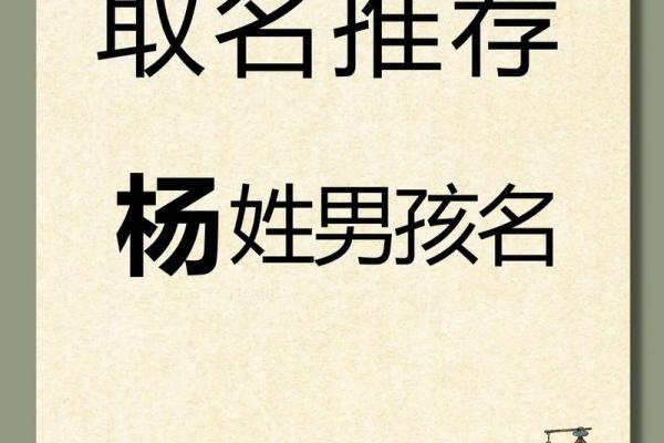 2019年5月27号寅时出生的男孩起名方法姓名