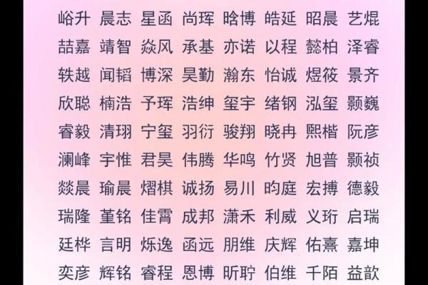 2019年3月15号子时出生的男孩应该起什么样的名字姓名