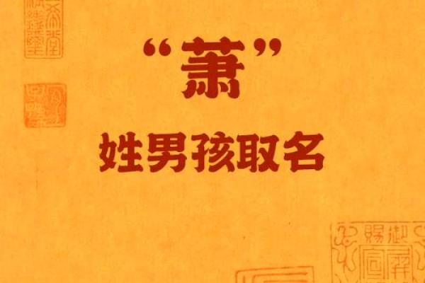 姓乔的名人-姓名学-华易算命网姓名 姓乔的名人-姓名学-华易算命网姓名
