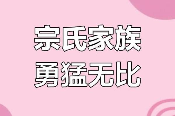 宗姓女孩名字大全-宗姓女孩起名字大全-宗姓名字大全姓名
